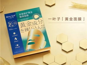 一葉子面膜代理政策、產(chǎn)品價(jià)格及重慶市場(chǎng)廣告策略全解析
